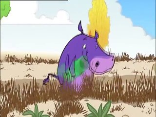 Why do some animals have their skeletons on the outside