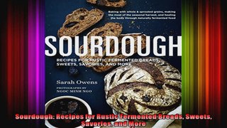 Sourdough Recipes for Rustic Fermented Breads Sweets Savories and More