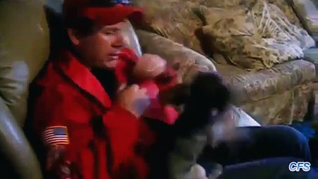 ¿Qué palabras irritar perros Perros divertidos no les gustan algunas de las palabras