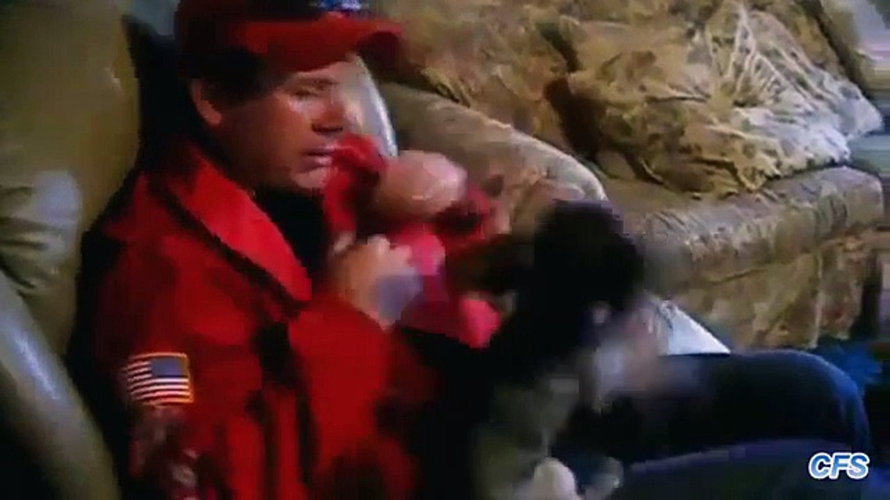 ¿Qué palabras irritar perros Perros divertidos no les gustan algunas de las palabras