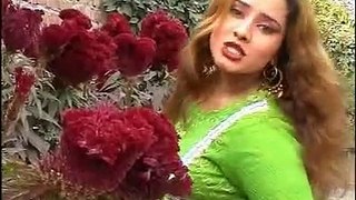 Zulfe Me Shana Shana - Nadia Gul Pashto New Dance Album 2016 HD Part-11
