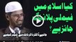 Kya Islam Mein Family Planning Jaiz Hai By Dr. Zakir Naik