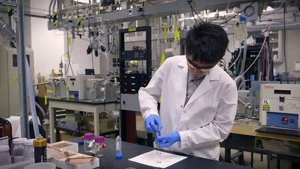 5 Key Functions Of Online Business Degree