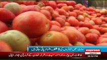 Tomatoes in Swat Valley Report by sherin zada