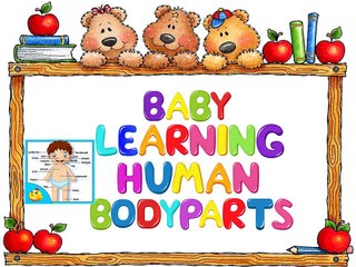 Baby Learning Human Body Parts