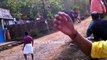 KILLER ELEPHANT ATTACK IN KERALA INDIA || ANIMAL ATTACK VIDEOS