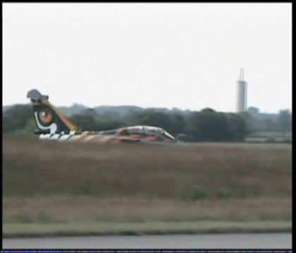 Tigermeet 2008 tornado f16 f18 rafale baby gripen