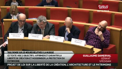 Table ronde sur la musique dans le cadre de la préparation du projet de Loi création - Les matins du Sénat