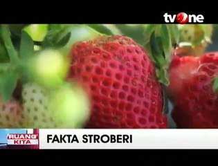 Beragam Manfaat Buah Stroberi