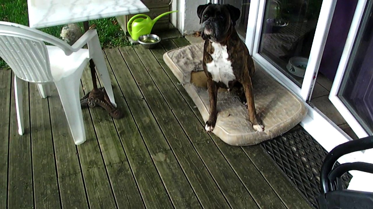 ELLIOT ERNEST Boxer de cirque