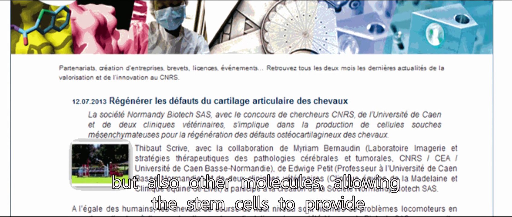 Présentation Normandy Biotech