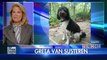 Greta: Republicans, Dems could learn from my cat and dog