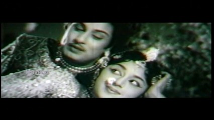 O Vennila - Padmini, M.G.R - Rani Samyuktha - Tamil Song