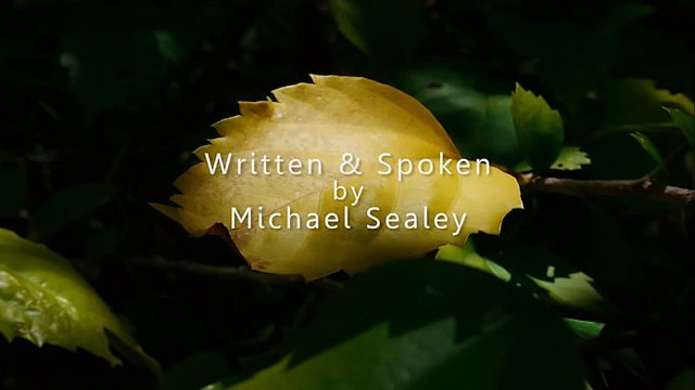 Sleep Hypnosis Journey to Become Your Ideal Self (Inner Advisor, Relaxation, Confidence)