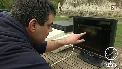 L'Aquitaine, première région française productrice de caviar
