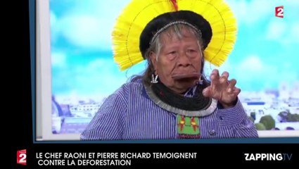 COP21 : Le Chef Raoni et Pierre Richard lancent un appel contre la déforestation dans le JT de France 2