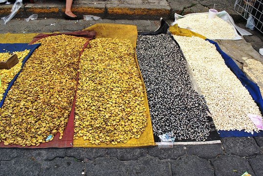 Des semences paysannes pour mieux résister au changement climatique