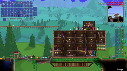Terraria Yoyo