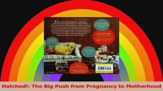 Hatched The Big Push from Pregnancy to Motherhood Read Online