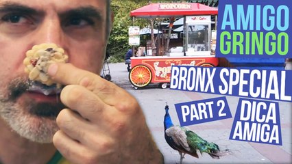 CONHEÇA A VERDADEIRA LITTLE ITALY NO BRONX