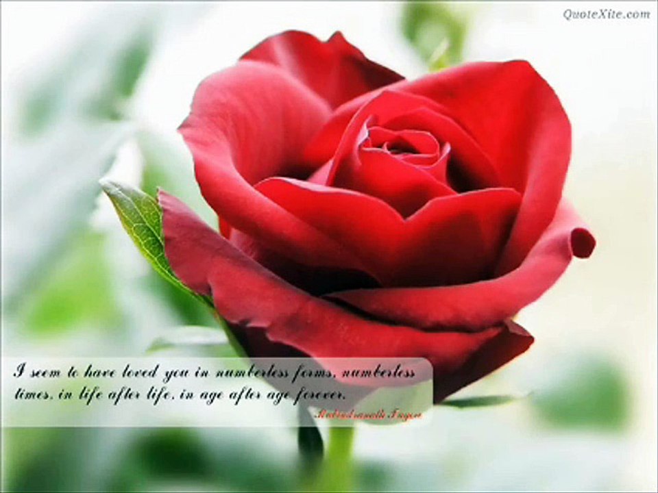 I JUST WANNA SPEND MY LIFE WITH YOU.....English song (Abbasi)