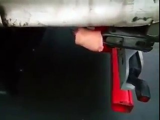 Buzz : Un chauffeur allemand met du cochon sur son camion !