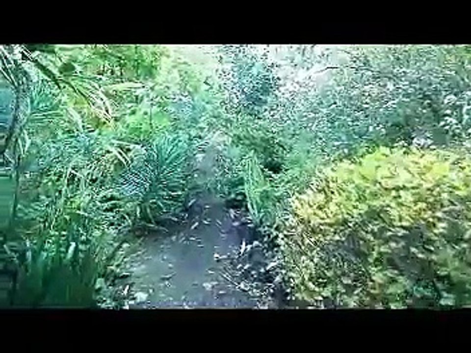 Les jardins du Marais