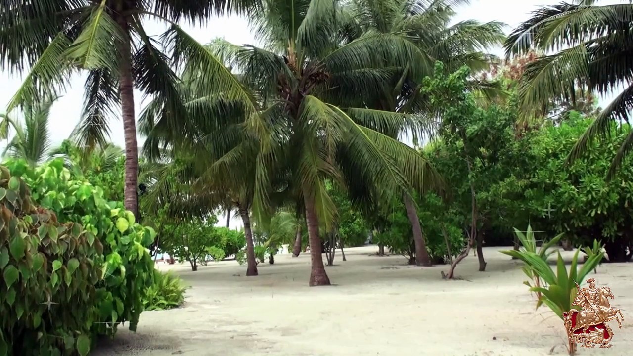 ♛♫♥ ☣The Thrillseekers and Talla 2XLC - Fracture {Sebastian Brandt Remix}☣ ♥♫♛