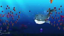 Blue Whale Sea World Animal Songs For Children - Kids poems