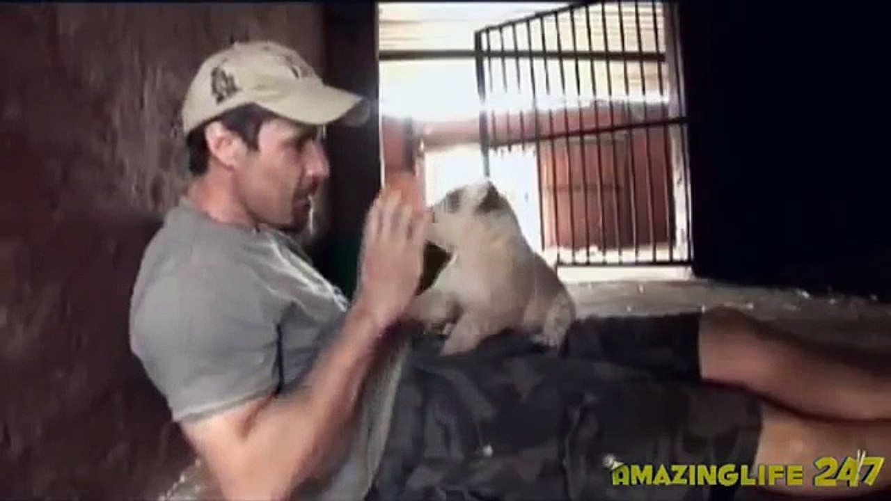 Inter-species Love