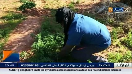 خبرة الموالون بعين صالح تقابل بالاهمال و نقص الدعم
