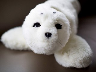 3 Robotic Companion Animals You'll Love