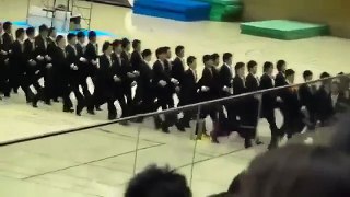 Amazing coordination