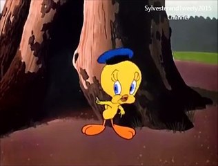 Sylvester and Tweety in BAD OI PUTTY TAT Part1