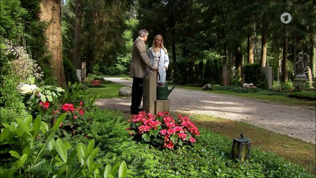 Luisa und Sebastian Folge 2290 Sturm der Liebe HD