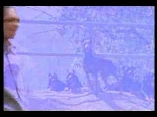 Snoop Dogg Dr Dre who i am