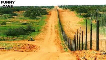 19 Interesting Facts About Australia