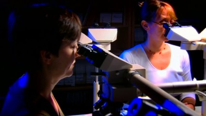 Pathology & Anatomical pathology