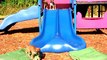 Puppies on Slides Compilation 2016 [HD]