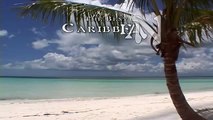 CARIBBEAN BEACHES 1 DVD - Nature Ocean Waves Sounds - Bahamas Paradise Island relax
