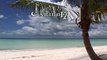 CARIBBEAN BEACHES 1 DVD - Nature Ocean Waves Sounds - Bahamas Paradise Island relax