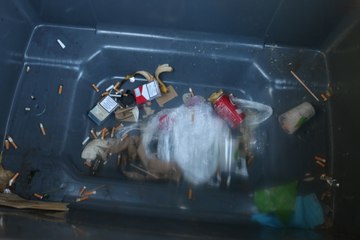 La COP21 est-elle écolo ? Carton rouge !