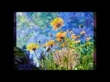 piccolo fiore - cover by giusy - 70 anni