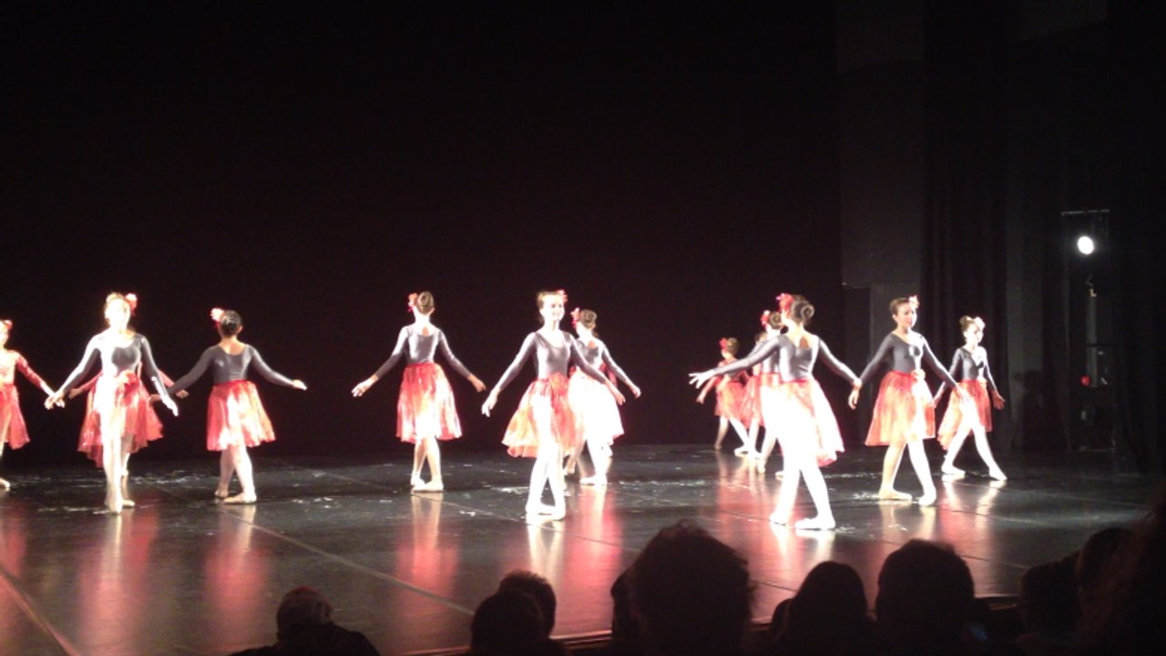 Grand spectacle du Telethon