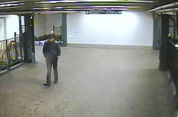 Bronx Forcible Touching Incident On D Train