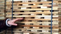 Exports of poplar & aspen sawn timber (with antiseptic) from Ukraine to: Middle East, Egypt, Pakistan, China, Asia