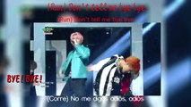 151204 [Music Bank] BTS (방탄소년단) - RUN | Fanchant | Han | Rom | Sub