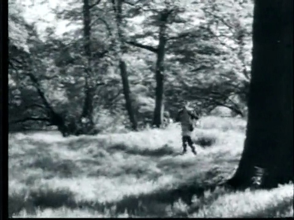 Robin Hood