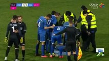 Alexandru Gudea (Farul goalkeeper) fight with a fan during Liga 2 Romania game v