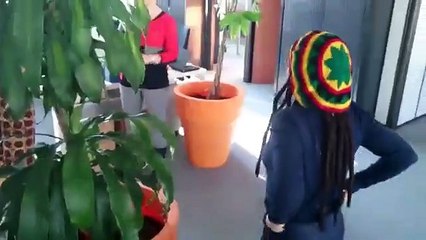 Les Dejantés de l'Anim' Co'